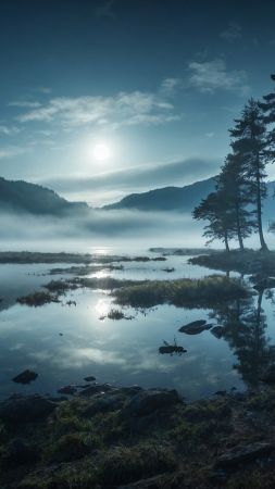 lake wallpaper, woodland, stars, background for mobile wallpaper (vertical)