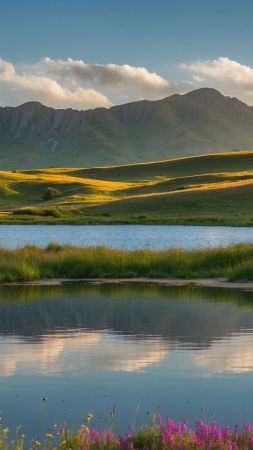 meadows wallpaper, majestic mountains, scenic vistas, background for mobile wallpaper (vertical)