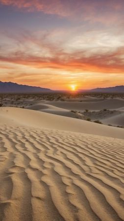 desert wallpaper, horizon, golden hour, background for mobile wallpaper (vertical)