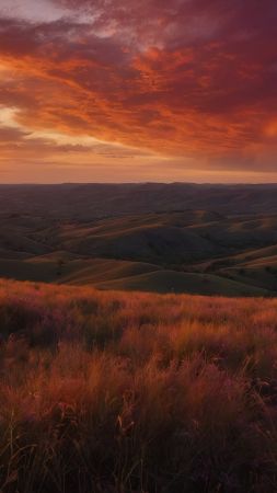 meadows wallpaper, dusk, nature, background for mobile wallpaper (vertical)