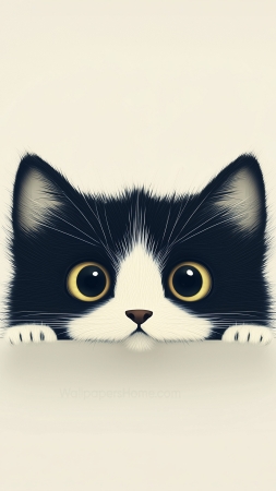 kitten wallpaper, cute, solid color background, background for mobile wallpaper (vertical)