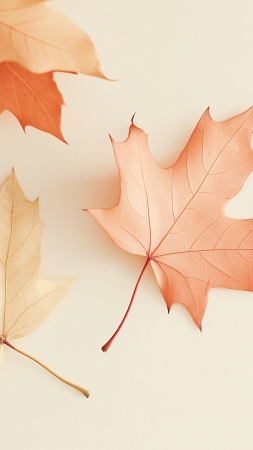 fall wallpaper, cozy, orange hues, background for mobile wallpaper (vertical)