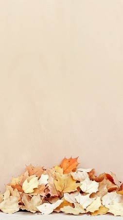 fall wallpaper, warm, peaceful, background for mobile wallpaper (vertical)