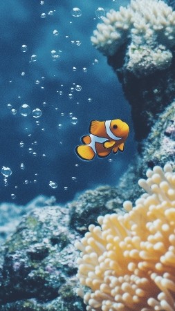 tropical fish wallpaper, coral reef, ocean habitat, background for mobile wallpaper (vertical)