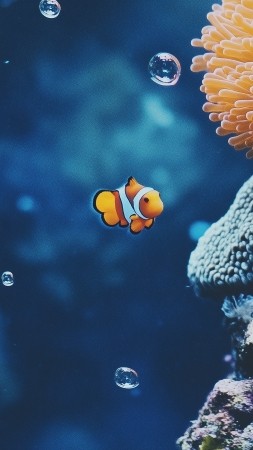 tropical fish wallpaper, vibrant corals, reef inhabitants, background for mobile wallpaper (vertical)