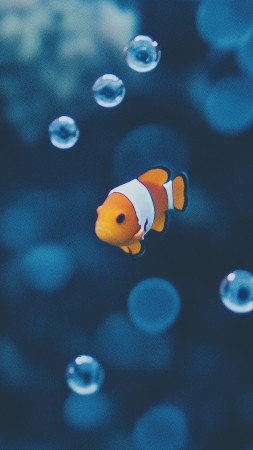 tropical fish wallpaper, reef ecosystem, colorful fish, background for mobile wallpaper (vertical)