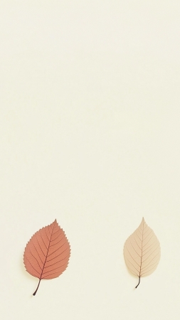 leaf wallpaper, autumn, foliage, background for mobile wallpaper (vertical)