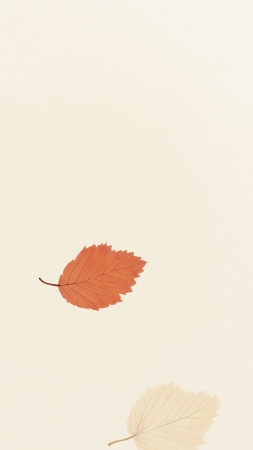 leaf wallpaper, autumn, foliage, background for mobile wallpaper (vertical)