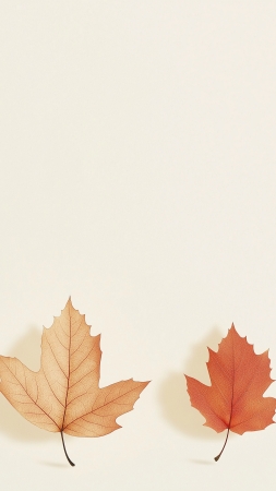 leaf wallpaper, autumn, foliage, background for mobile wallpaper (vertical)