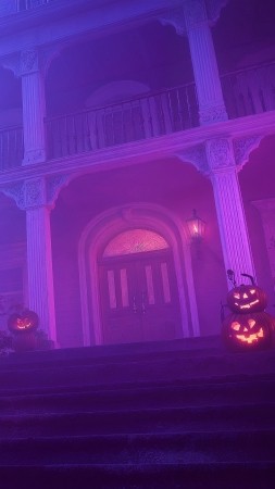 Halloween wallpaper, pumpkin patch, autumn festivities, background for mobile wallpaper (vertical)