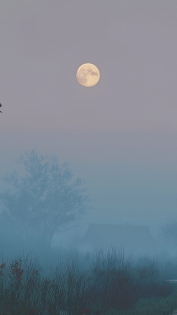 Sky wallpaper, tranquil, gentle atmosphere, background for mobile wallpaper (vertical)