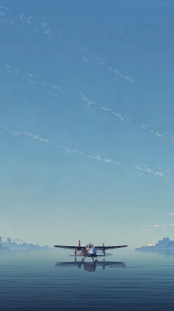 propeller plane wallpaper, overcast sky, aviation, background for mobile wallpaper (vertical)