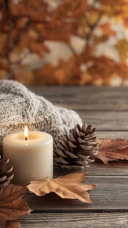 fall decoration wallpaper, stock image, seasonal decor, background for mobile wallpaper (vertical)