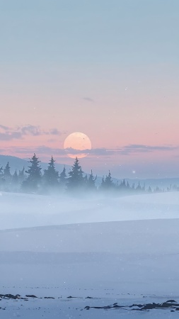 christmas wallpaper wallpaper, winter wonderland, holiday decorations, background for mobile wallpaper (vertical)