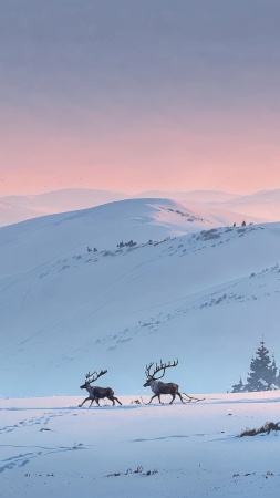 xmas wallpaper, landscape, winter wonderland, background for mobile wallpaper (vertical)