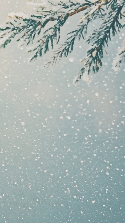 christmas wallpaper, minimal design, festive decor, background for mobile wallpaper (vertical)