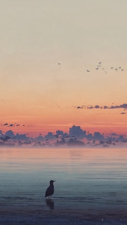 beach sunset wallpaper, sunset hour, evening sky, background for mobile wallpaper (vertical)