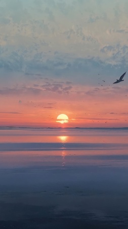 beach sunset wallpaper, sunset hour, evening sky, background for mobile wallpaper (vertical)
