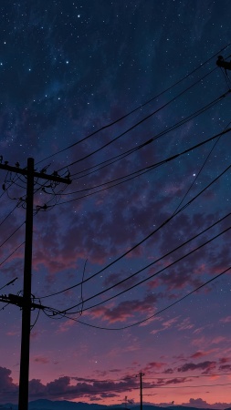 night wallpaper wallpaper, power line, silhouette landscape, background for mobile wallpaper (vertical)