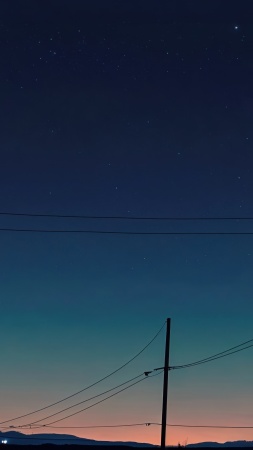 power line wallpaper, power lines, dark sky, background for mobile wallpaper (vertical)