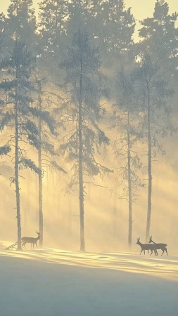christmas reindeers wallpaper, snowy, cozy cabin, background for mobile wallpaper (vertical)