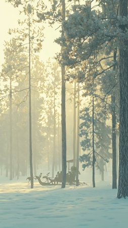 christmas reindeers wallpaper, snowy, festive decorations, background for mobile wallpaper (vertical)