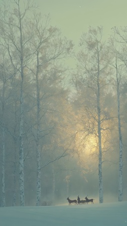 holiday decorations wallpaper, festive lights, seasonal decorations, background for mobile wallpaper (vertical)