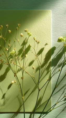 biophilic design wallpaper, plant art, botanical prints, background for mobile wallpaper (vertical)