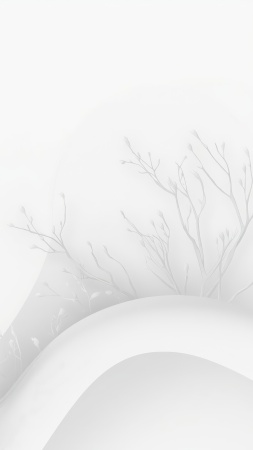 white wallpaper wallpaper, clean aesthetics, subtle background, background for mobile wallpaper (vertical)