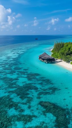 Maldives wallpaper, tourism, luxury, background for mobile wallpaper (vertical)