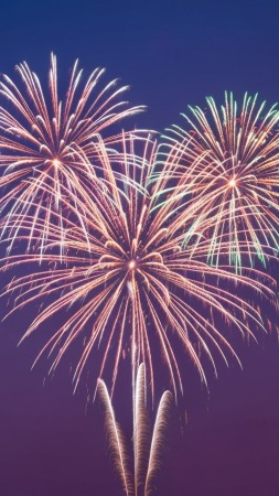 2026 wallpaper, celebration ideas, new year traditions, background for mobile wallpaper (vertical)