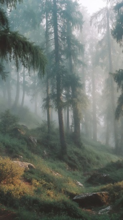 earthy tones wallpaper, wild forest, woodland scenery, background for mobile wallpaper (vertical)