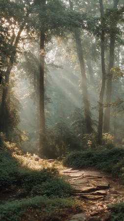 exploration wallpaper, trail, natural landscape, background for mobile wallpaper (vertical)