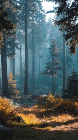 peaceful escape wallpaper, outdoor exploration, earth tones, background for mobile wallpaper (vertical)