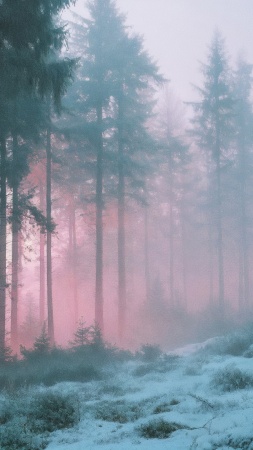 gray sky wallpaper, cold winter, chill, background for mobile wallpaper (vertical)