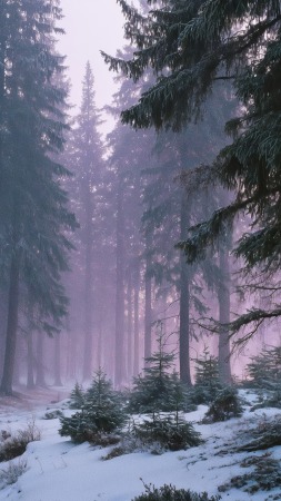 nature wonderland wallpaper, surreal, ethereal beauty, background for mobile wallpaper (vertical)
