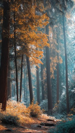 soft glow wallpaper, rustic beauty, cozy atmosphere, background for mobile wallpaper (vertical)