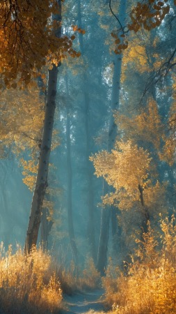 god rays wallpaper, warm hues, atmospheric light, background for mobile wallpaper (vertical)