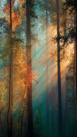 deep woods wallpaper, golden color, ethereal glow, background for mobile wallpaper (vertical)