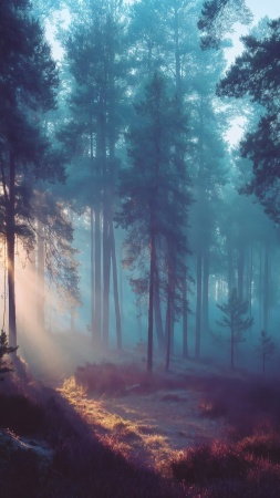 mystical grove wallpaper, fairy tale forest, soft lighting, background for mobile wallpaper (vertical)