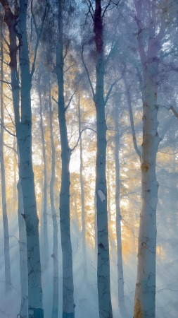 ethereal glow wallpaper, mystical woods, fairy forest, background for mobile wallpaper (vertical)