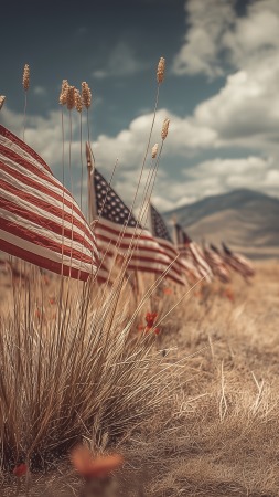 military appreciation wallpaper, american flag, honor, background for mobile wallpaper (vertical)