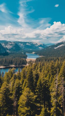 Yosemite wallpaper, forest, wallpapers, background for mobile wallpaper (vertical)