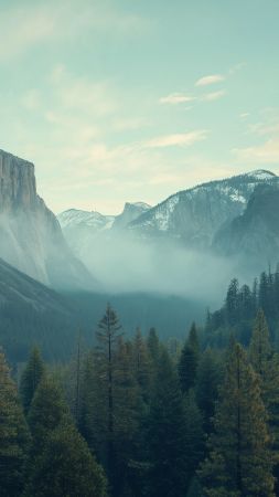 Yosemite wallpaper, forest, 5k, background for mobile wallpaper (vertical)