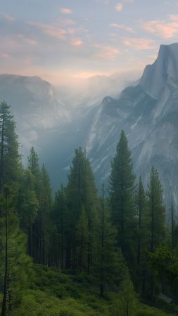 Yosemite wallpaper, forest landscape, OSX background, background for mobile wallpaper (vertical)