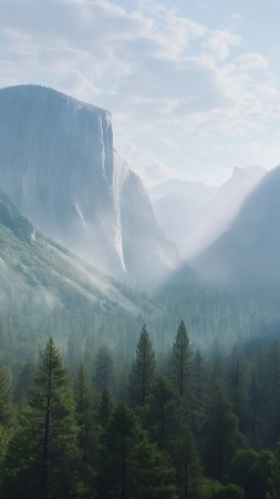 Yosemite wallpaper, forest, Apple, background for mobile wallpaper (vertical)