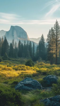 Yosemite wallpaper, forest, nature, background for mobile wallpaper (vertical)