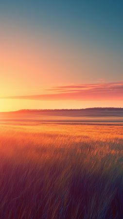 Field wallpaper, HD, nature, background for mobile wallpaper (vertical)