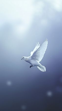 dove wallpaper, pigeon, wings, background for mobile wallpaper (vertical)