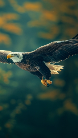 Eagle wallpaper, blurred background, feathered friends, background for mobile wallpaper (vertical)